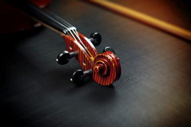 violin and viola lessons course image