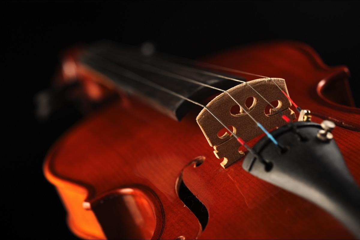 Privater Geigenunterricht - Private Violin lessons course image