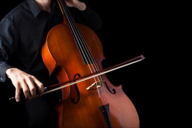 Violoncello Unterricht im Kanton Jura und Online course image