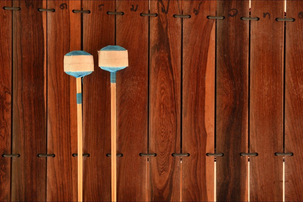 Privater Xylophonunterricht - Private Xylophone lessons course image
