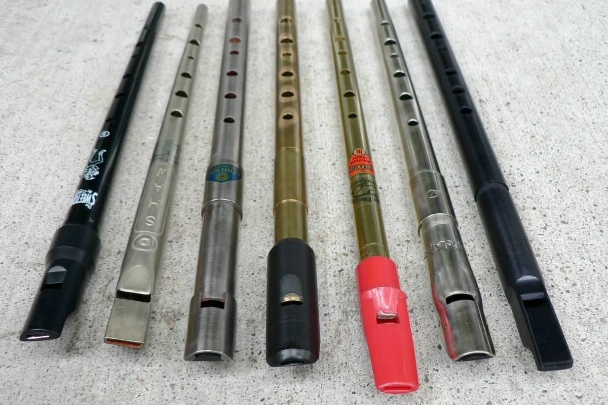 Tin und Low Whistle course image