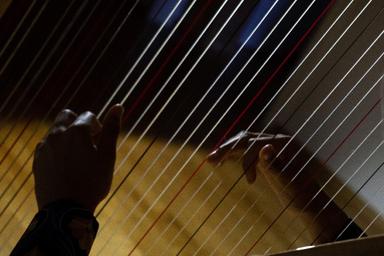 Privater Harfenunterricht - Private Harp lessons course image