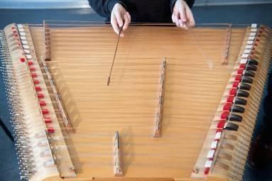 Privater Hackbrettunterricht - Private Cimbalom lessons course image