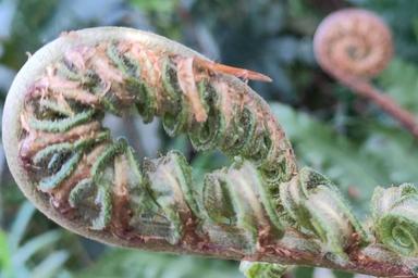 Musiktherapie mit früh und krank Geborenen und ihren Eltern course image