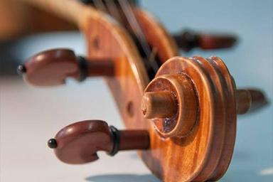 Privater Geigenunterricht - Private Violin lessons  course image