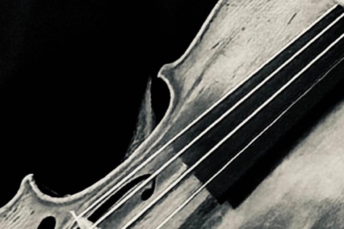 Violin Lessons for All Ages/Levels course image