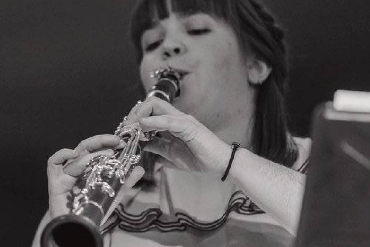 Privater Klarinettenunterricht - Private Clarinet lessons course image