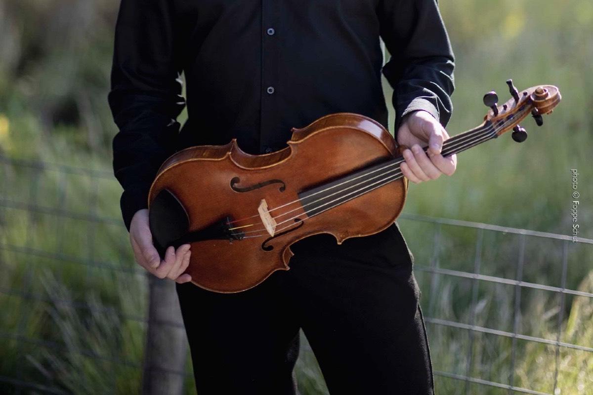 Privater Bratschenunterricht - Private Viola lessons course image