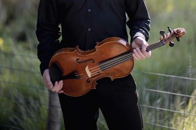 Privater Bratschenunterricht - Private Viola lessons course image