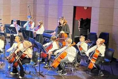 Privater Cellounterricht - Private Cello lessons course image