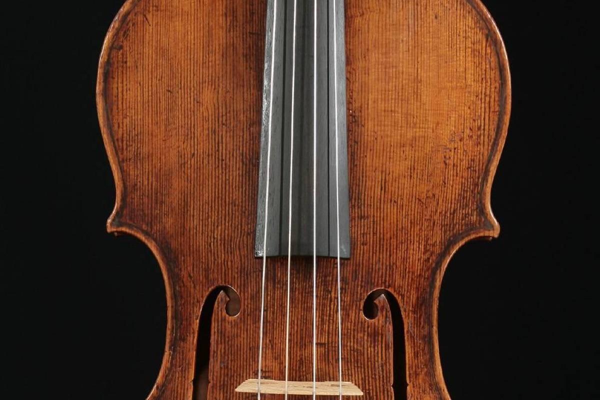 Private Viola lessons course image