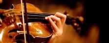 Geige- und Bratschenunterricht