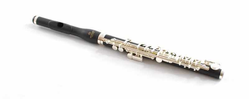 Piccolo flute lessons!