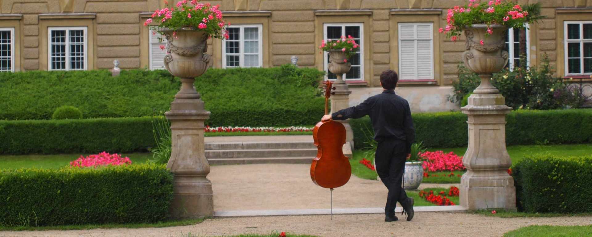 Cellounterricht für Anfänger 

