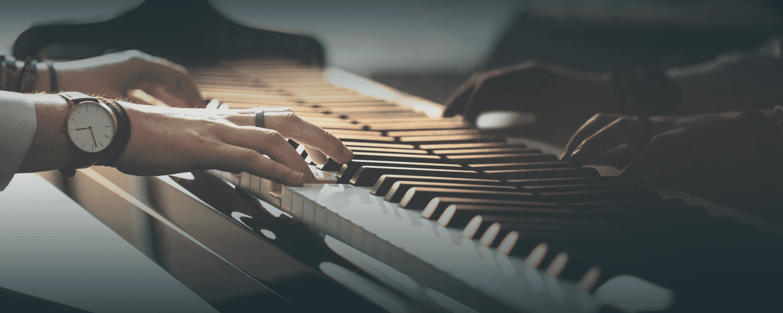 Piano course for beginners and intermediate;
Vocal - all ages and levels
Music theory and composition 
