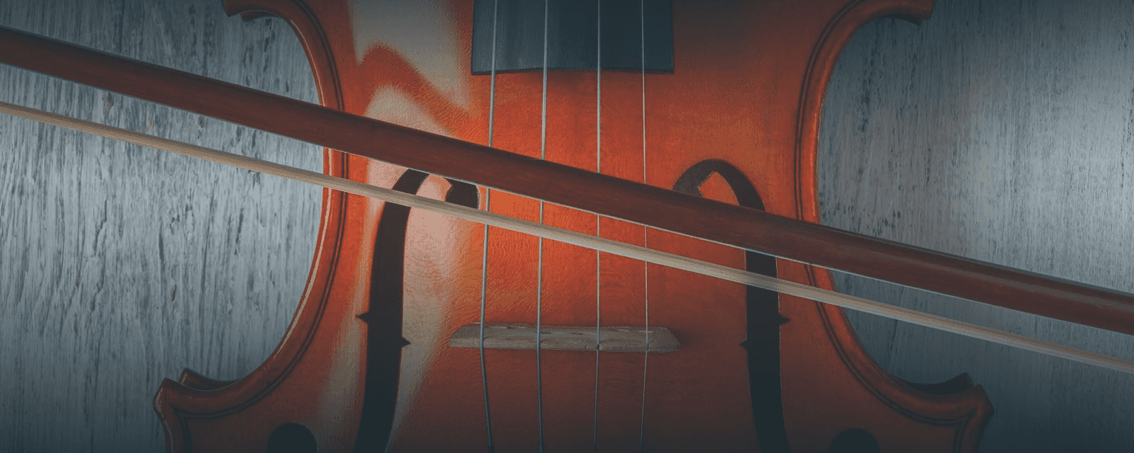 Cellounterricht für Berufsmusiker/Erwachsene