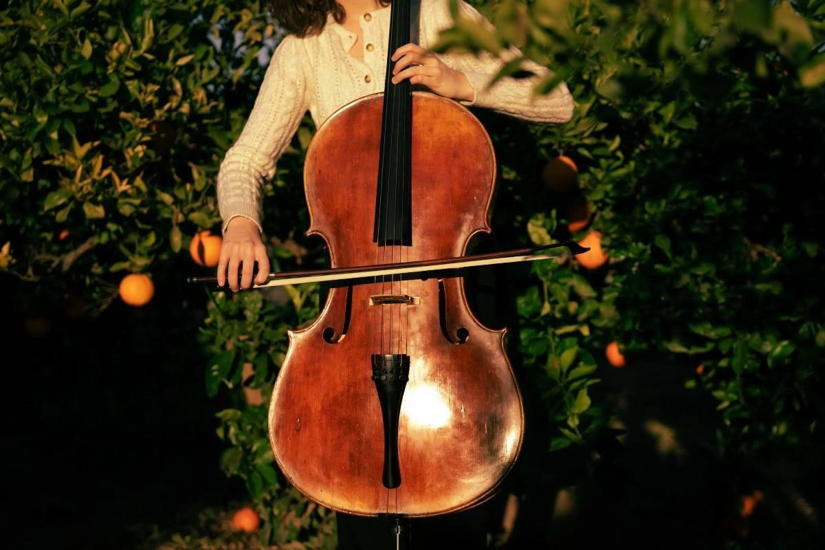 Privater Cellounterricht - Private Cello lessons course image