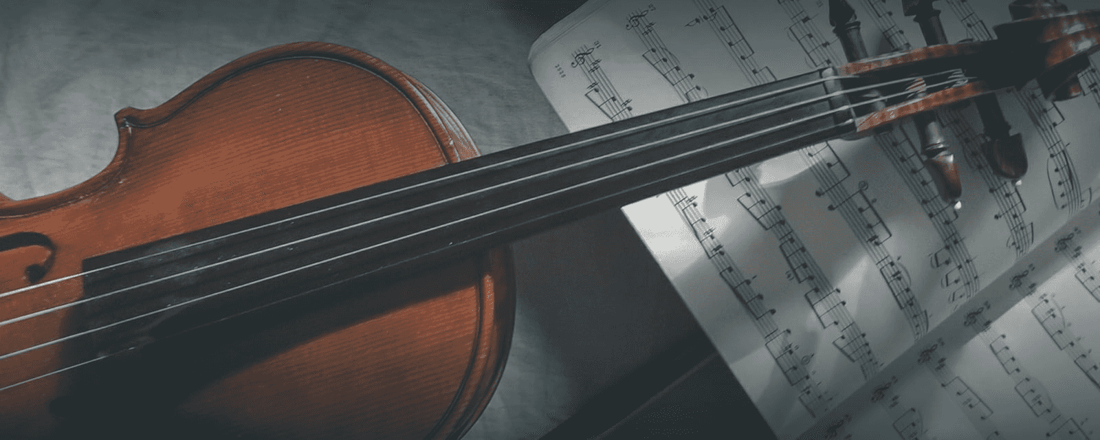 Violin lessons for beginners and intermediate students