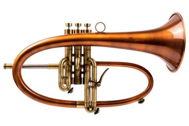 Cours individuels de Bugle - Private Flugelhorn lessons -Privater Flügelhornunterricht course image
