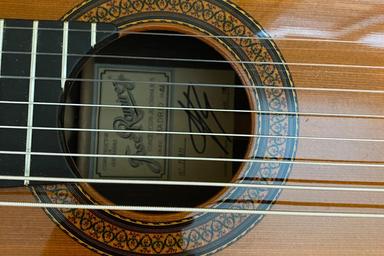Classical guitar technique and performance. course image