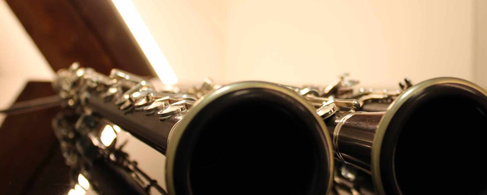 Klarinettenunterricht / Saxophonunterricht 
