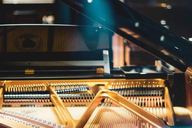 Piano lessons: IV. Professional course image