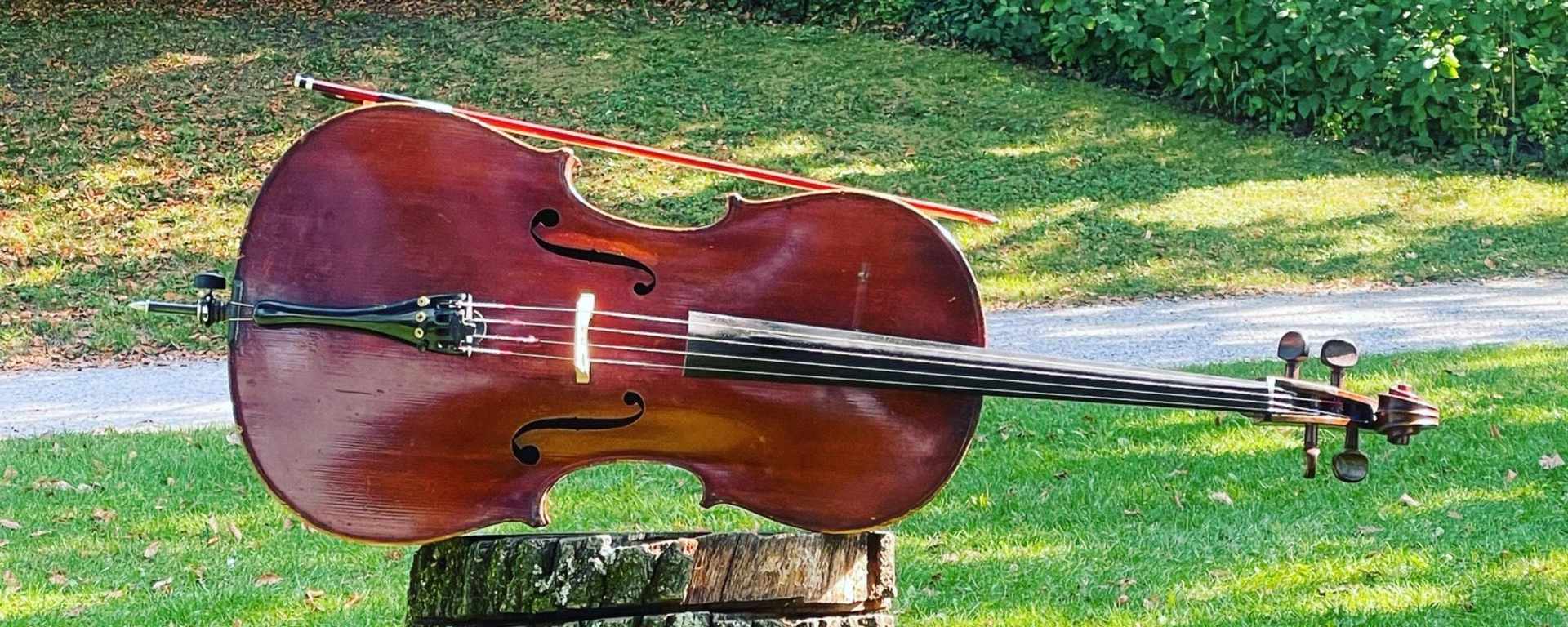 Cello Unterricht in Zürich