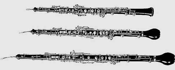 Oboe für Erwachsene Luzern und Umgebung