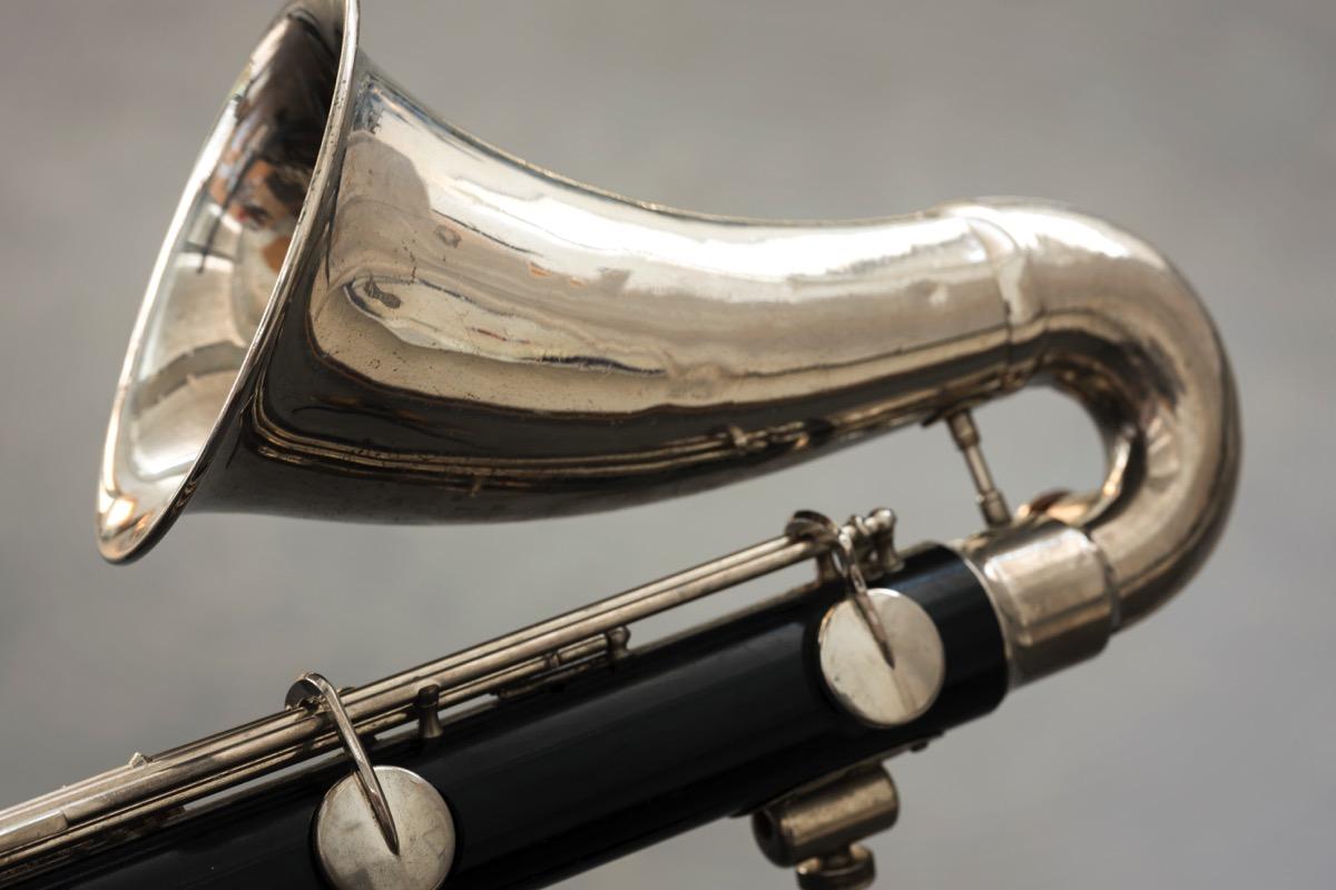 Privater Bassetthornunterricht - Private Basset Horn lessons course image