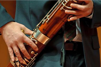 Chamber music lessons for bassoon players - Kammermusikunterricht für Fagottisten course image