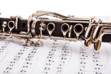 Instrumentallektion Klarinette course image
