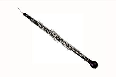 Privater Englischhornunterricht - Private Cor Anglais lessons course image
