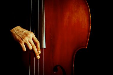 Double bass lessons based on jazz and classical repertoire and technique.  course image
