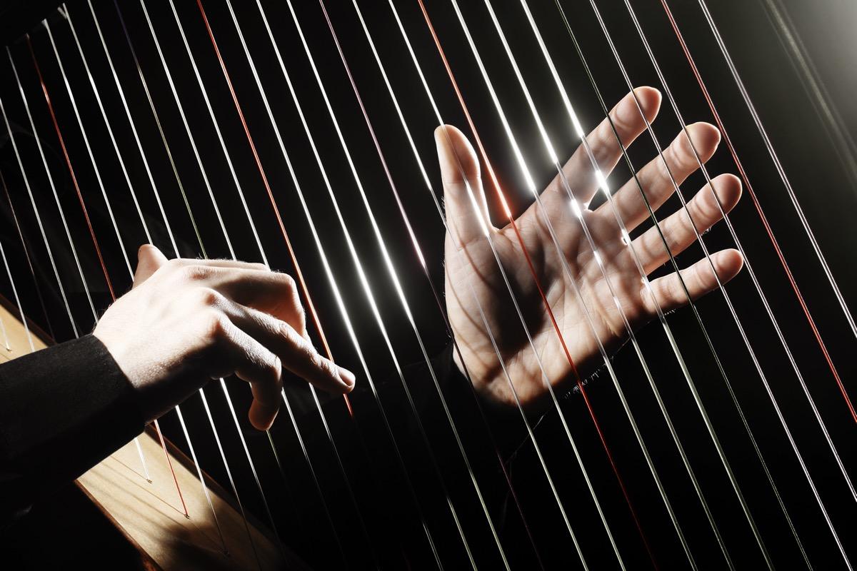 Privater Harfenunterricht - Private Harp lessons course image