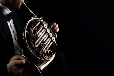 French horn and historical horn for beginner to professional musicians course image