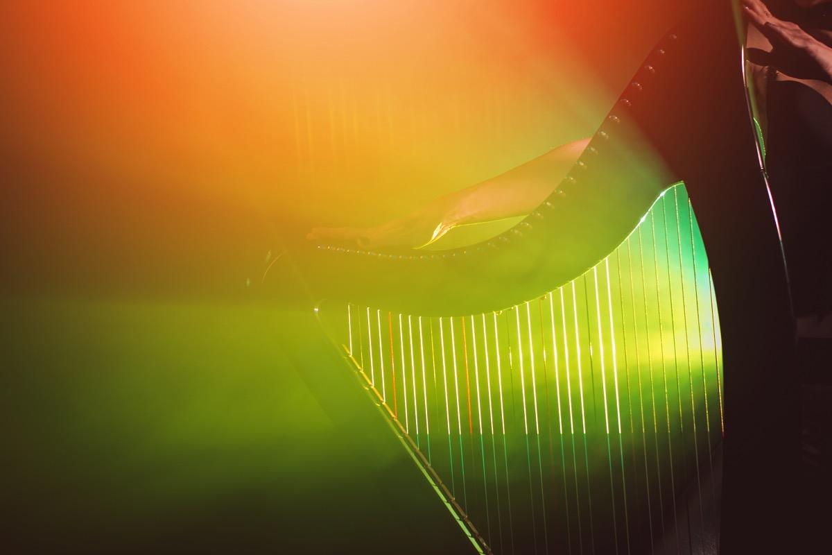 Privater Keltische Harfenunterricht - Private Irish Harp lessons course image