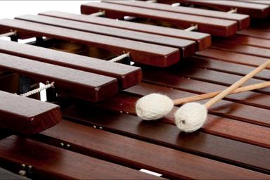 Privater Marimbaunterricht - Private Marimba lessons course image