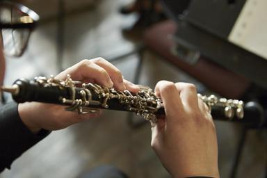 Oboe für Erwachsene Luzern und Umgebung course image