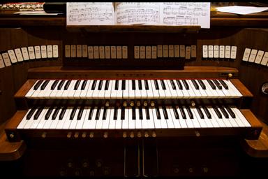 Privater Orgelunterricht - Private Organ lessons course image