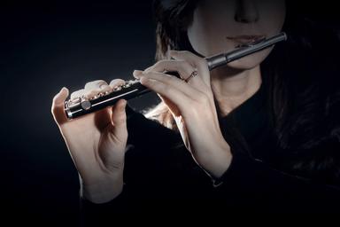 Flute/Piccolo Lessons for Kids in Basel course image