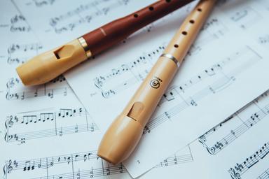 Private Recorder lessons course image