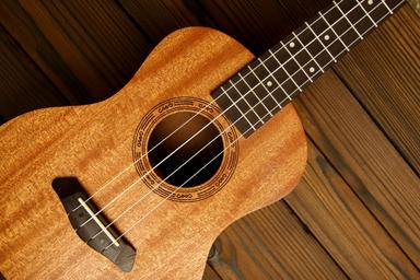 Guitar, Ukulele and lute lessons course image