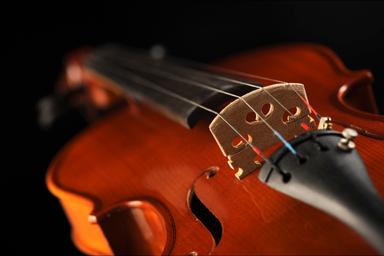 Violin lessons for beginners and intermediate students course image