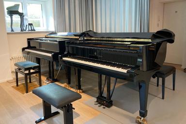 Klavierunterricht in Zürich auf einem sehr schönen Steinway course image
