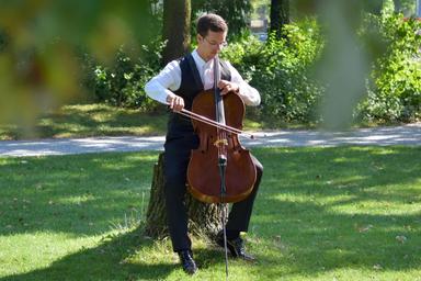 Cello Unterricht in Zürich course image