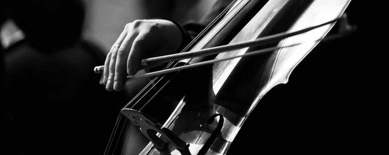 Cellounterricht in Allschwil für Erwachsene