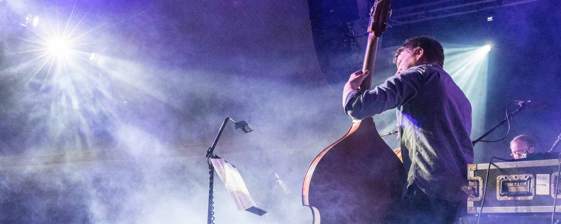 Double Bass across all genres