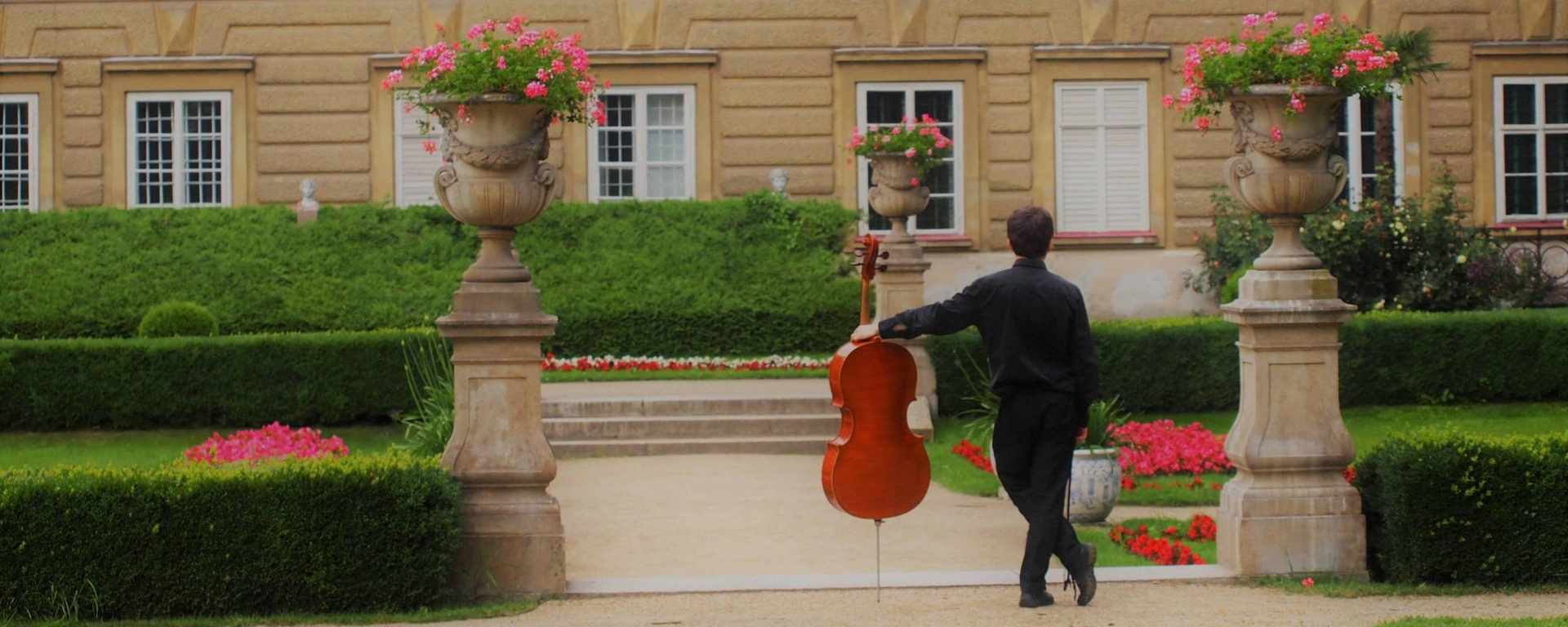 Cellounterricht für Fortgeschrittene
