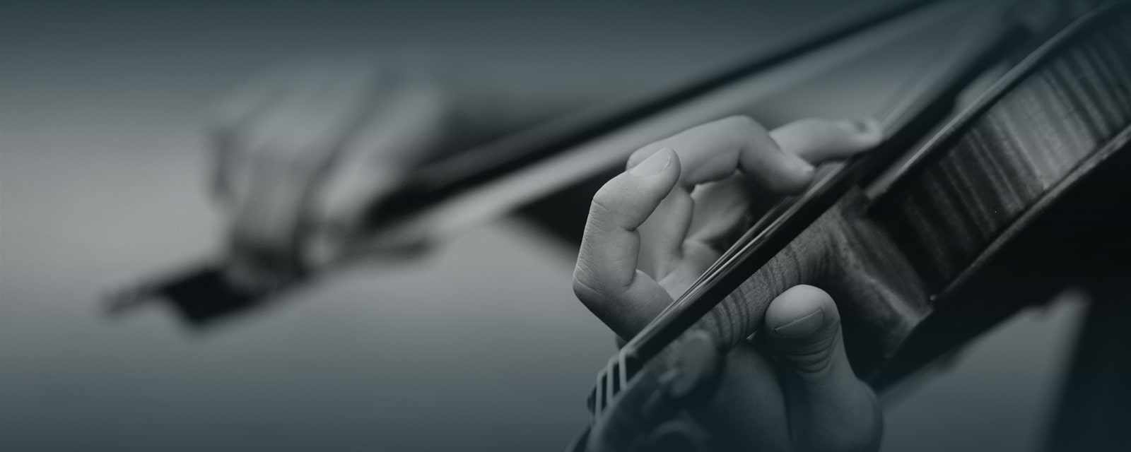 Geige ohne Grenzen - individueller Geigenunterricht 